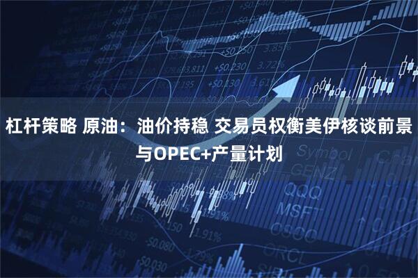 杠杆策略 原油：油价持稳 交易员权衡美伊核谈前景与OPEC+产量计划