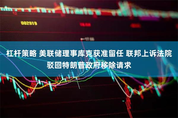 杠杆策略 美联储理事库克获准留任 联邦上诉法院驳回特朗普政府移除请求