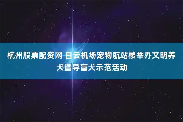杭州股票配资网 白云机场宠物航站楼举办文明养犬暨导盲犬示范活动
